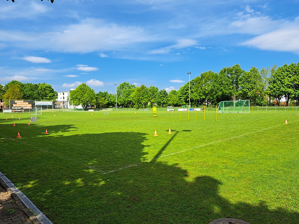 A1-Jugend - Saison 2025/26